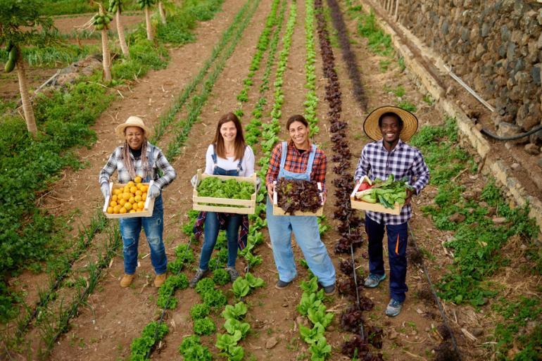 Mujeres en el campo